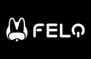Felo felo